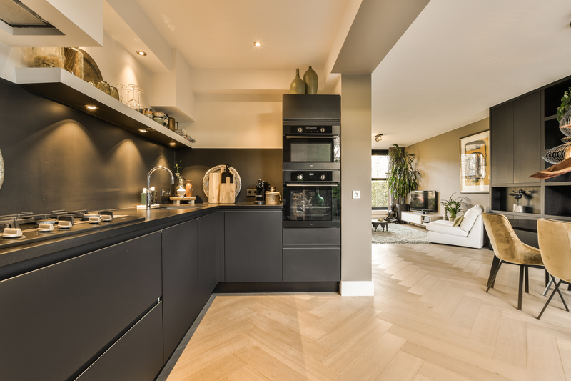 The Ultimate Cost-Saving Kitchen Remodel: A 2025 Guide 1 kitchen remodel options with dark colors