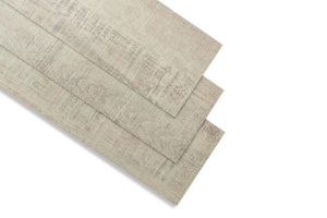 Shutterstock 1940017762